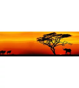 Dél-Afrika, ahogy még nem láttad