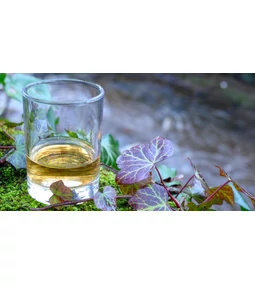 Skót Whisky Csodái: Fedezd Fel a Legjobb Ízeket!