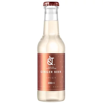 &T Spicy Ginger Beer DRS (0,2L)