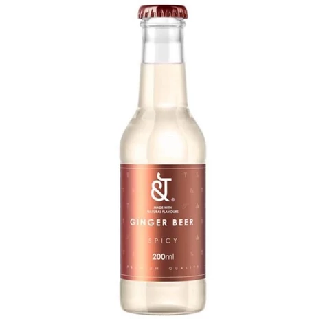 &T SPICY GINGER BEER (0,2L)